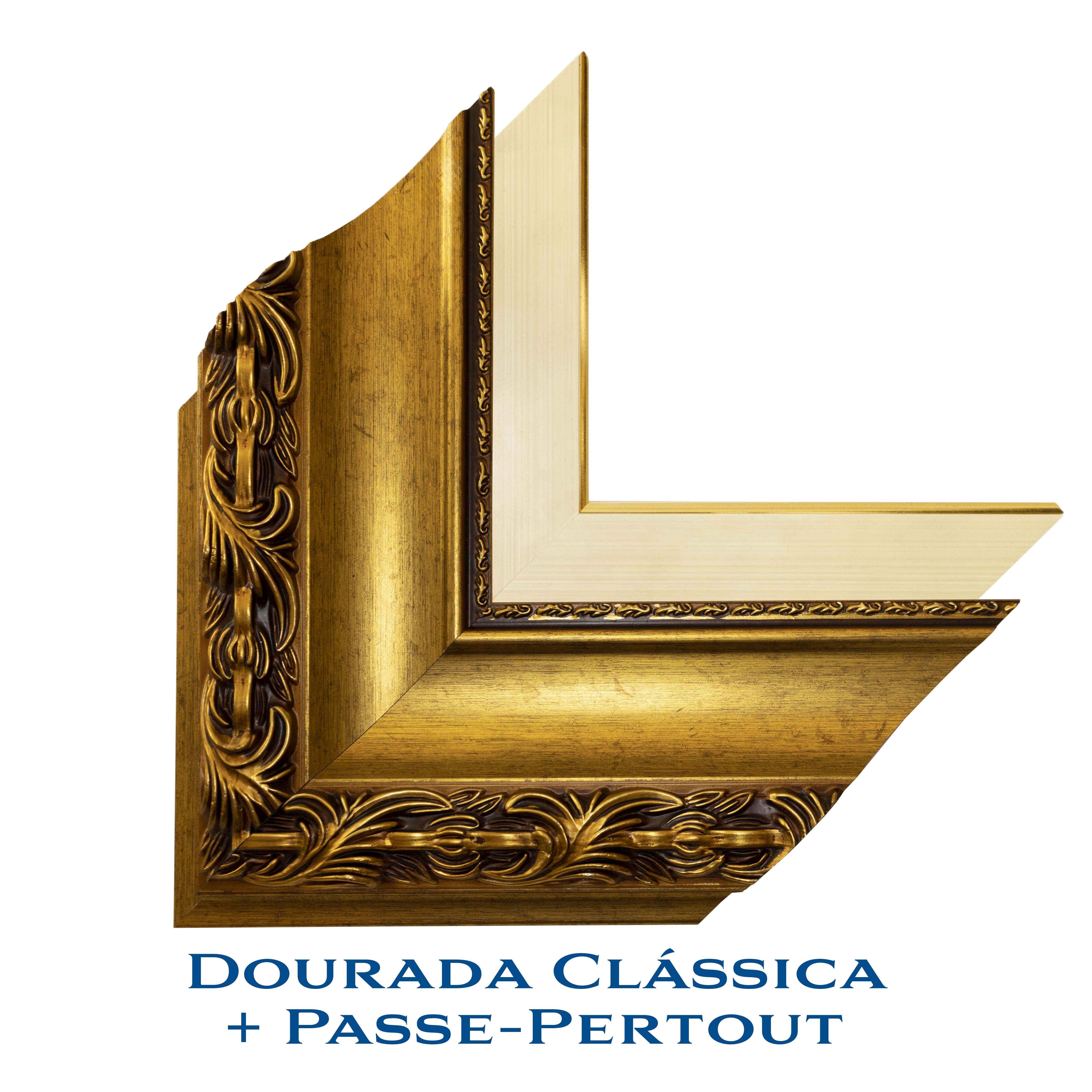 Louro da Montanha - Charles Ethan Porter