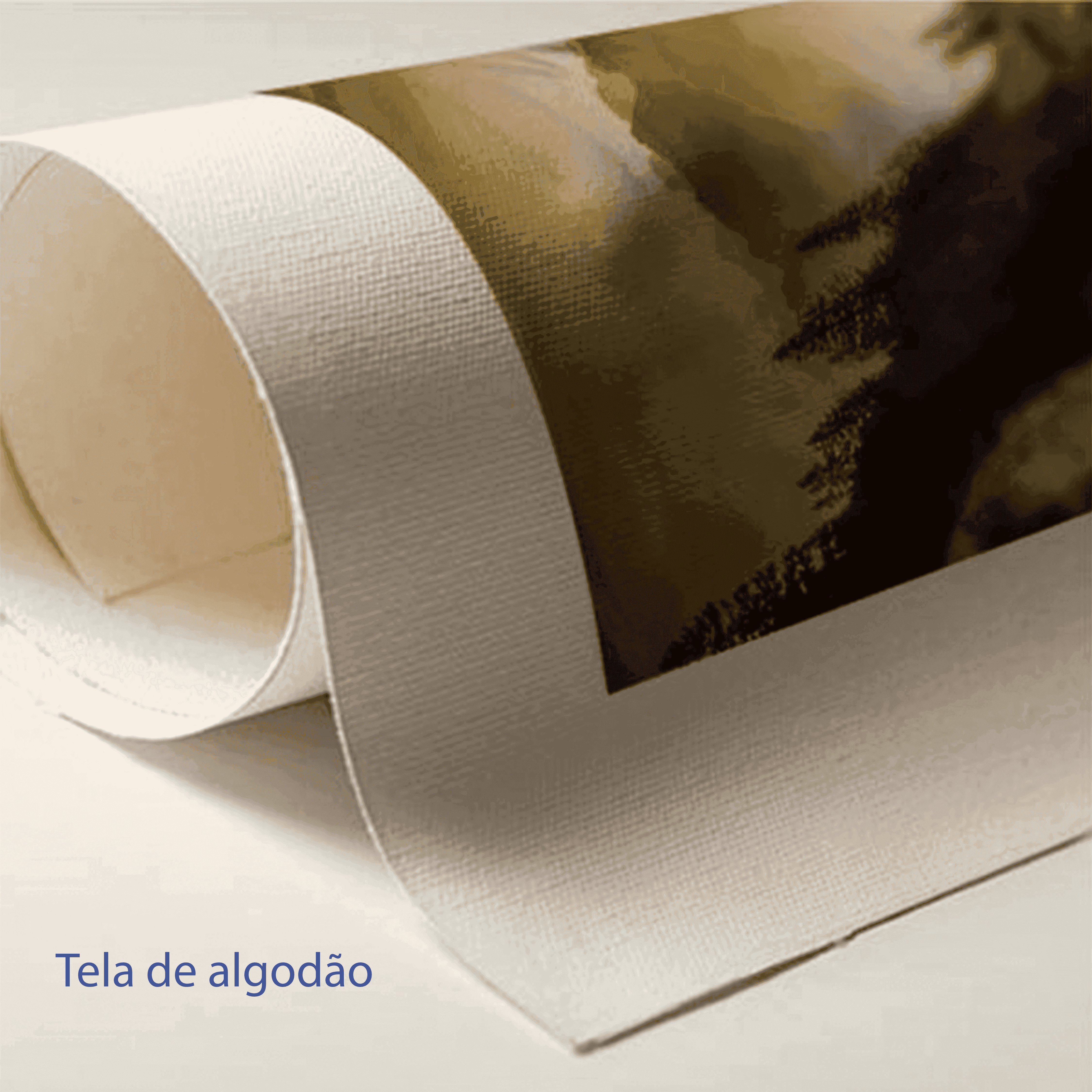 Composição de Quadros - A Alma da Rosa