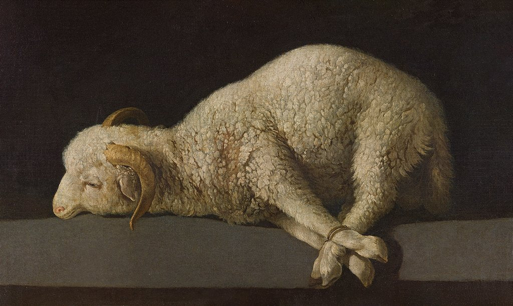 Agnus Dei - Francisco de Zurbarán