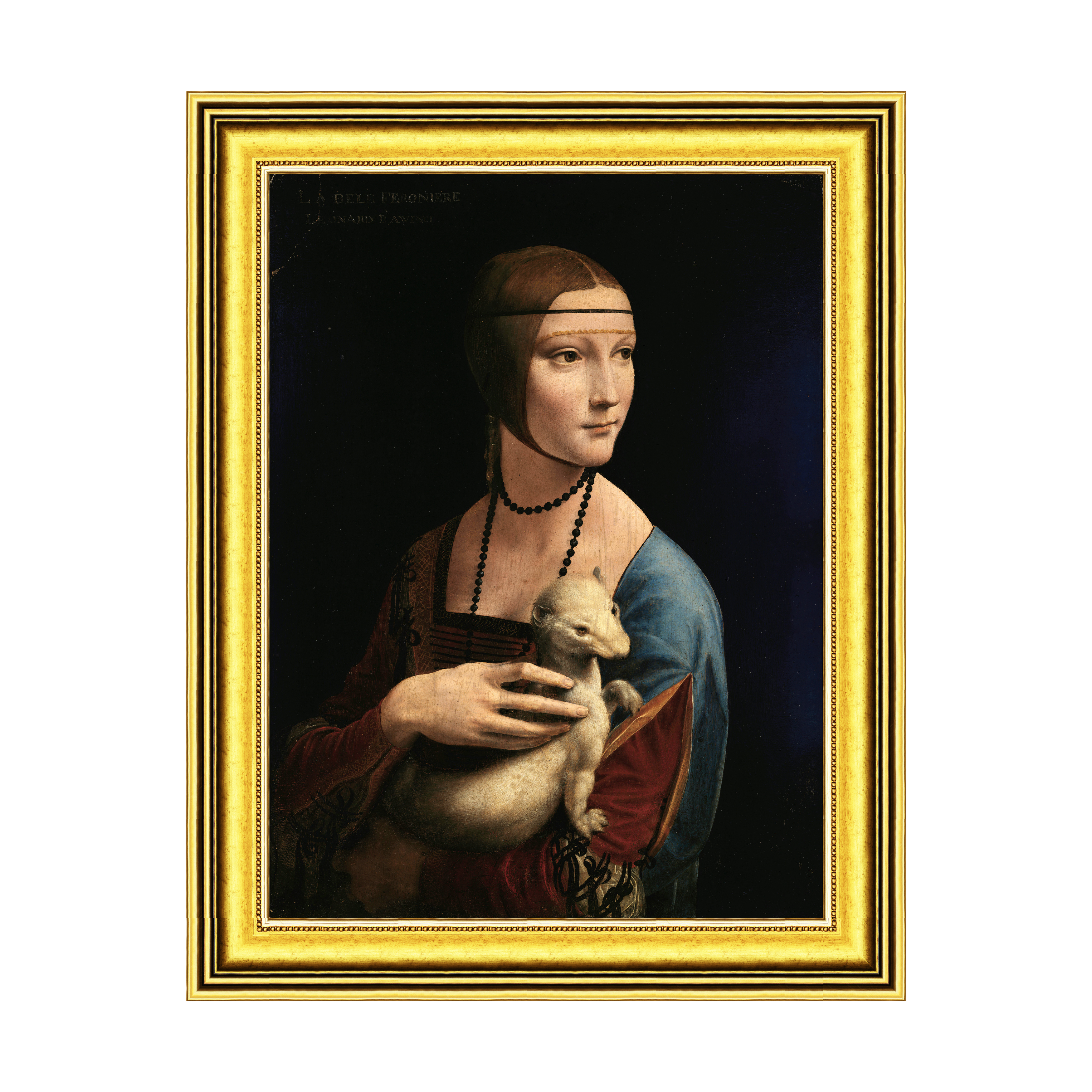Dourada Lisa - Sem Passe-Partout