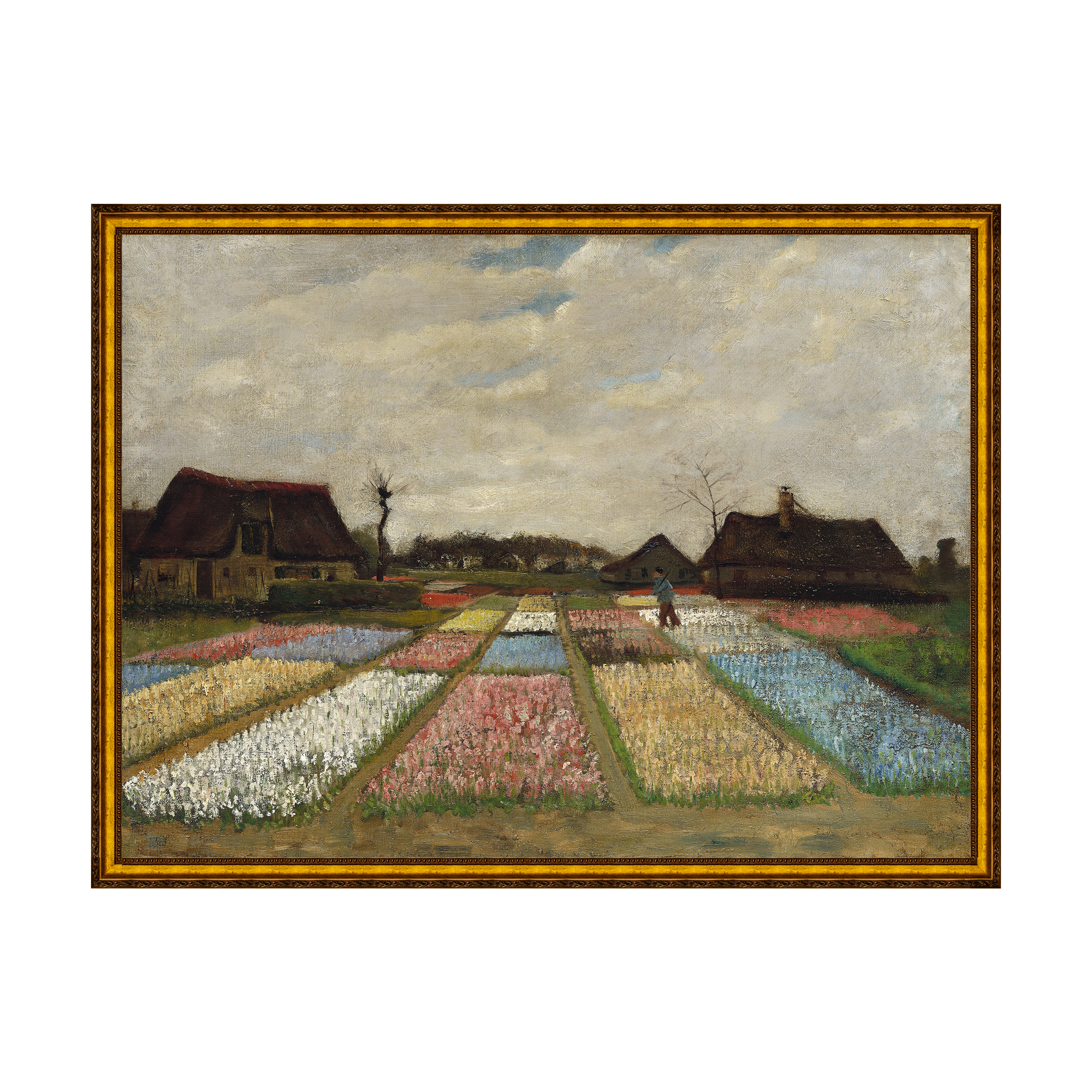 Provençal - Sem Passe-Partout