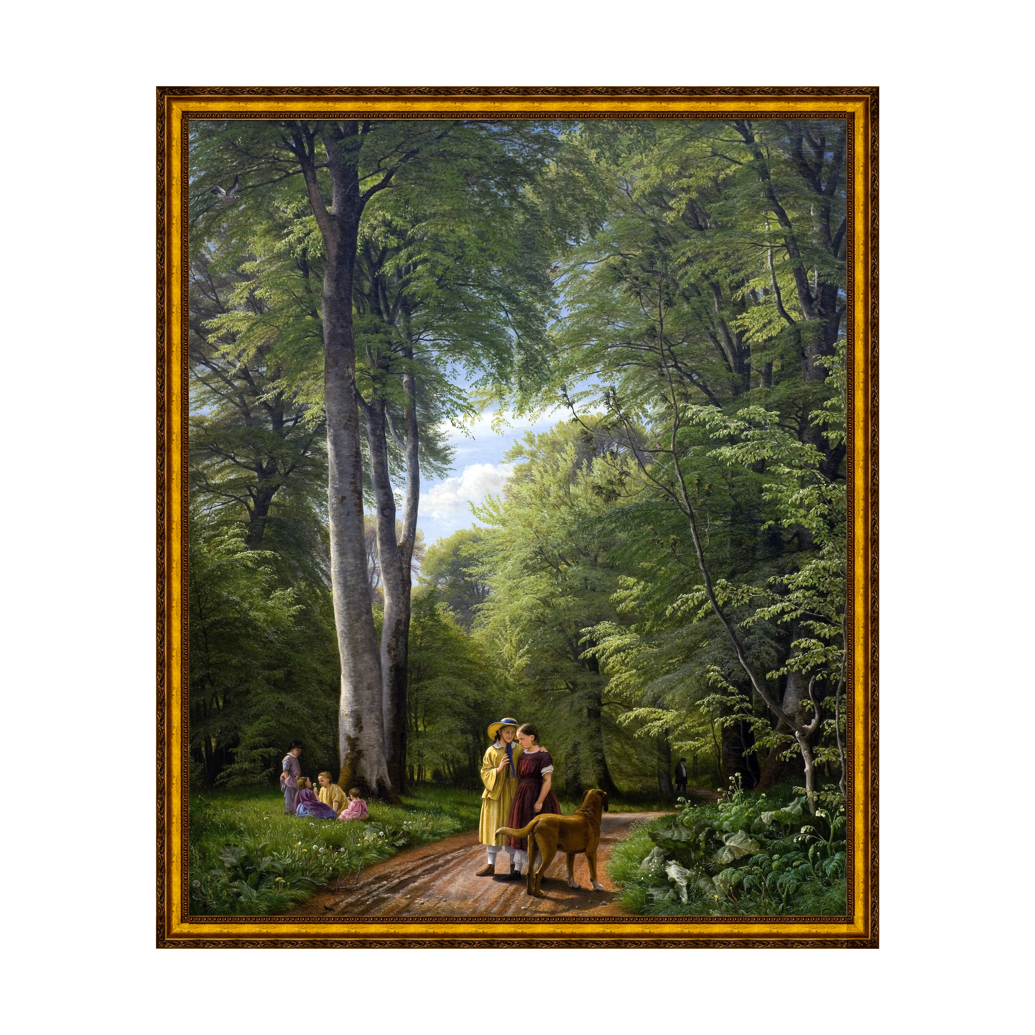 Provençal - Sem Passe-Partout