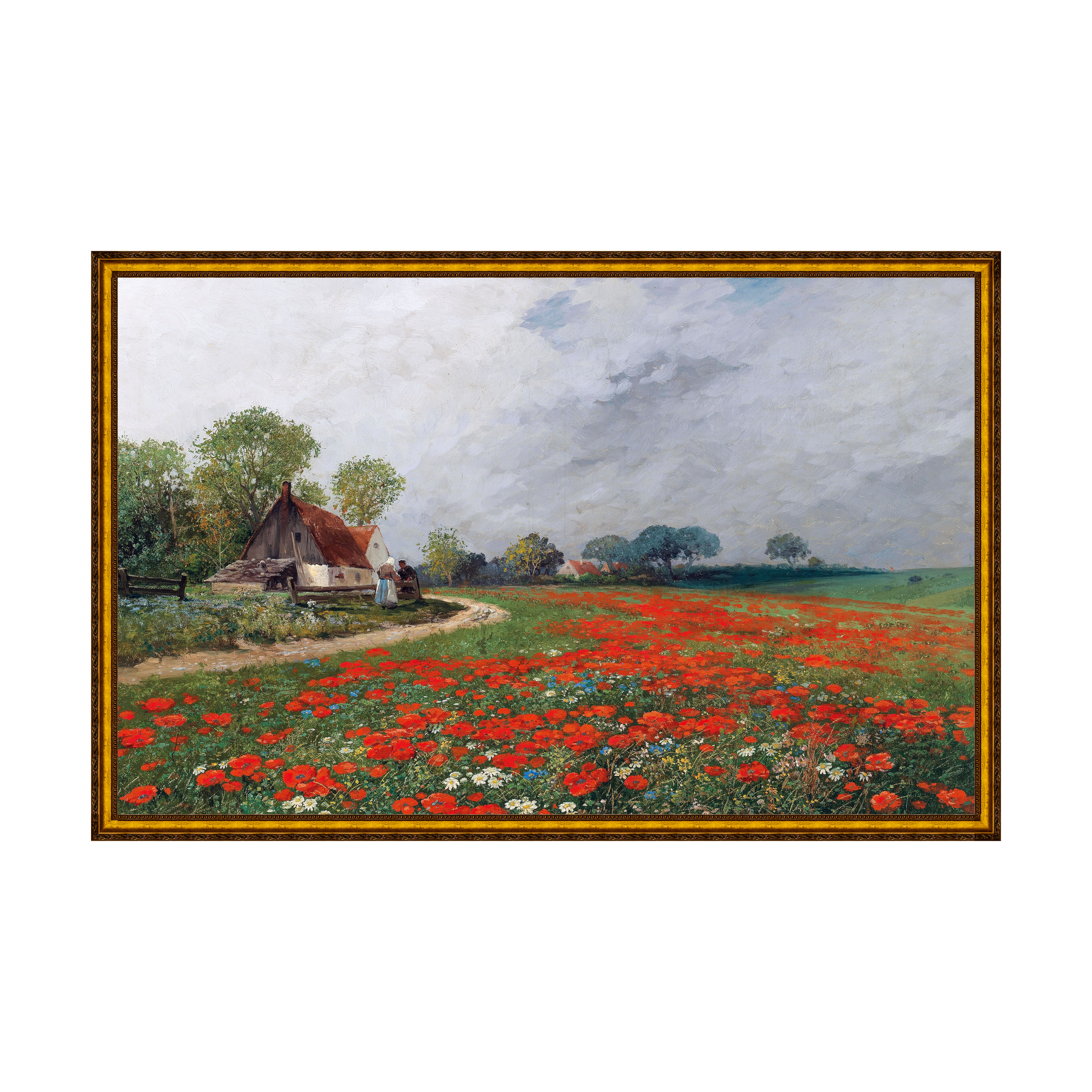 Provençal - Sem Passe-Partout