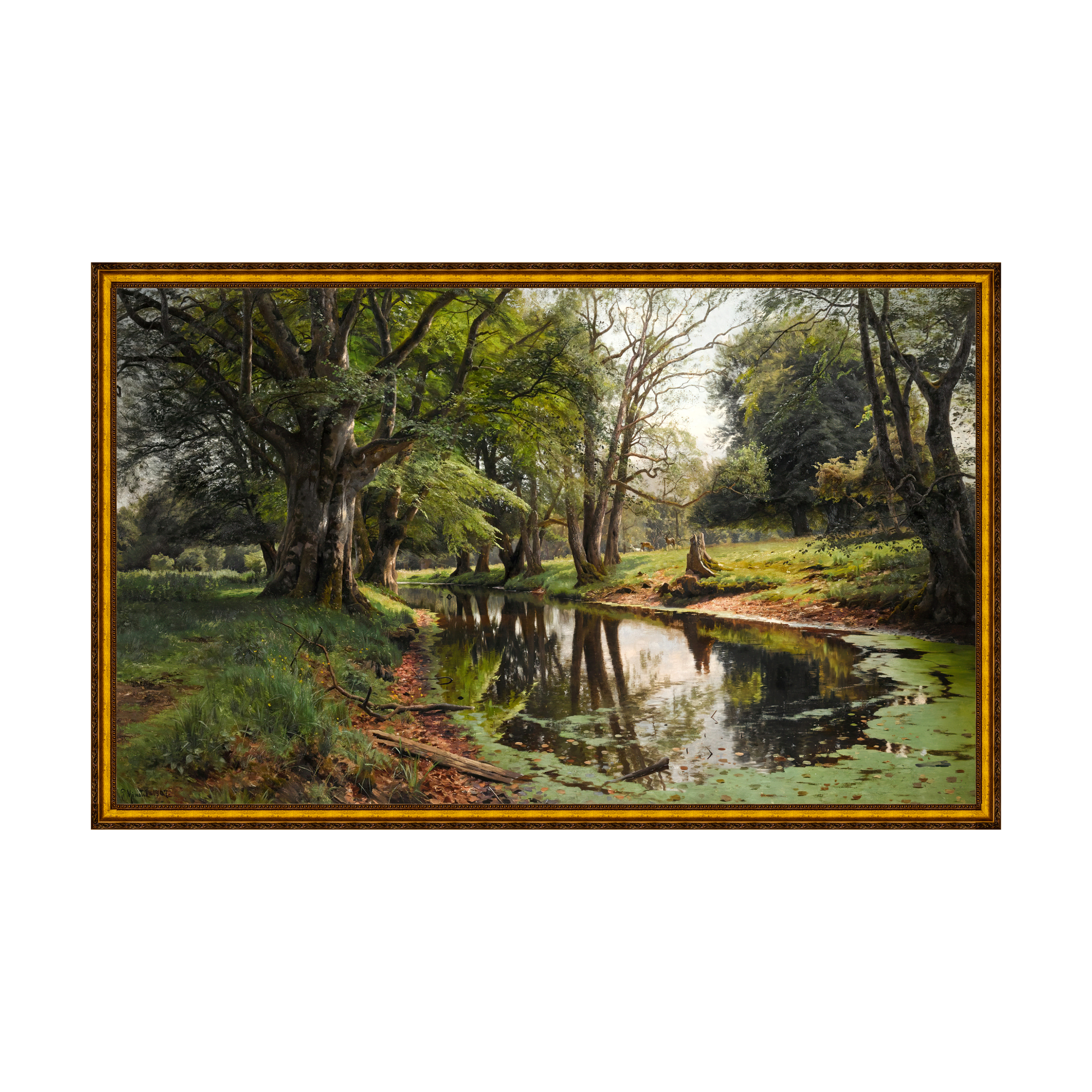 Provençal - Sem Passe-Partout