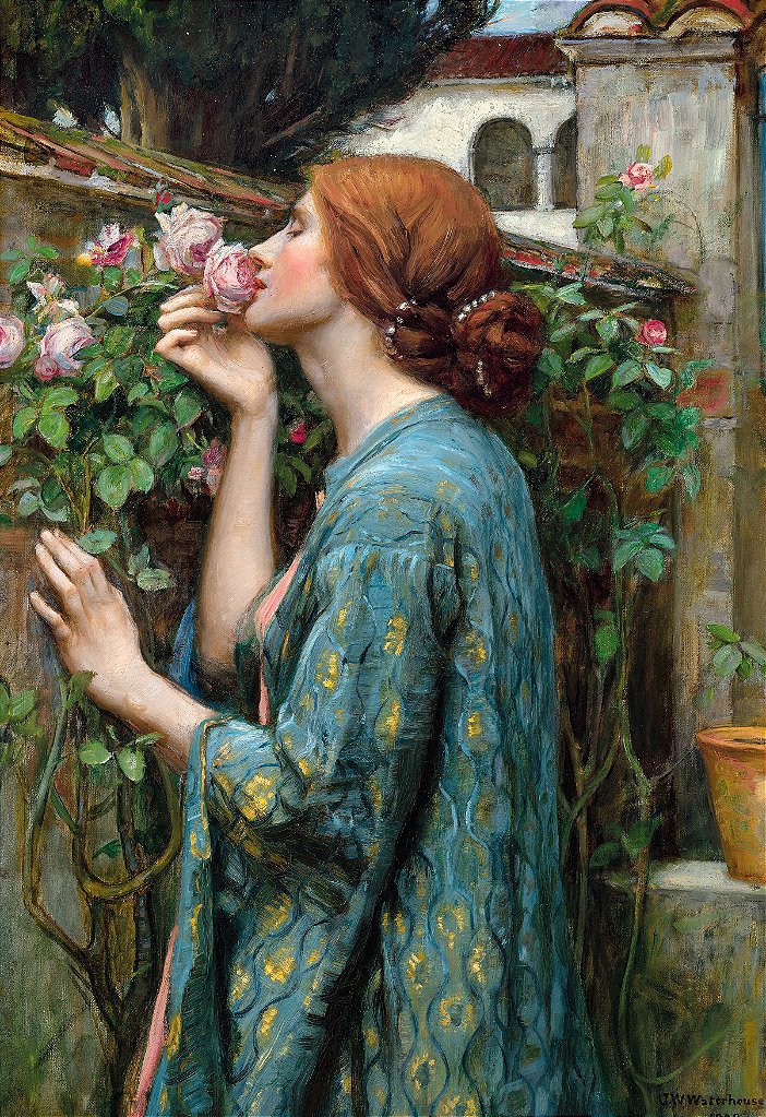 A Alma da Rosa - John William Waterhouse