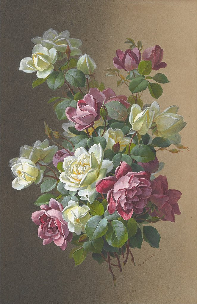 Rosas - Paul de Longpre