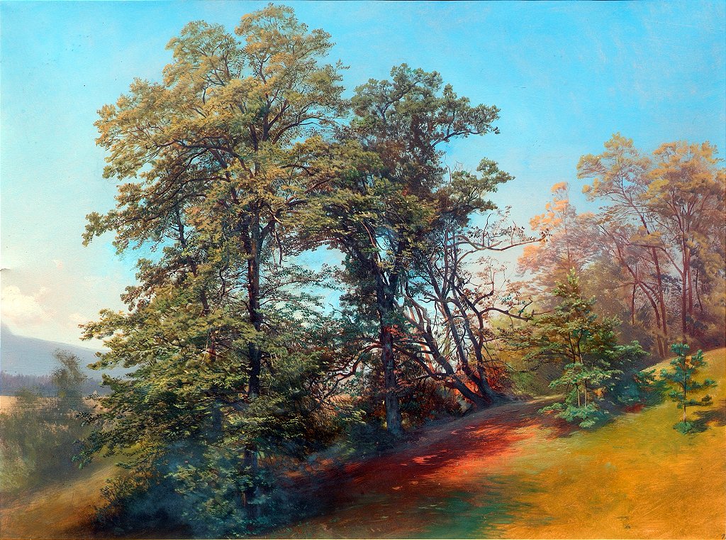 Grupo de árvores em Mönchsberg em Salzburgo - Joseph Holzer