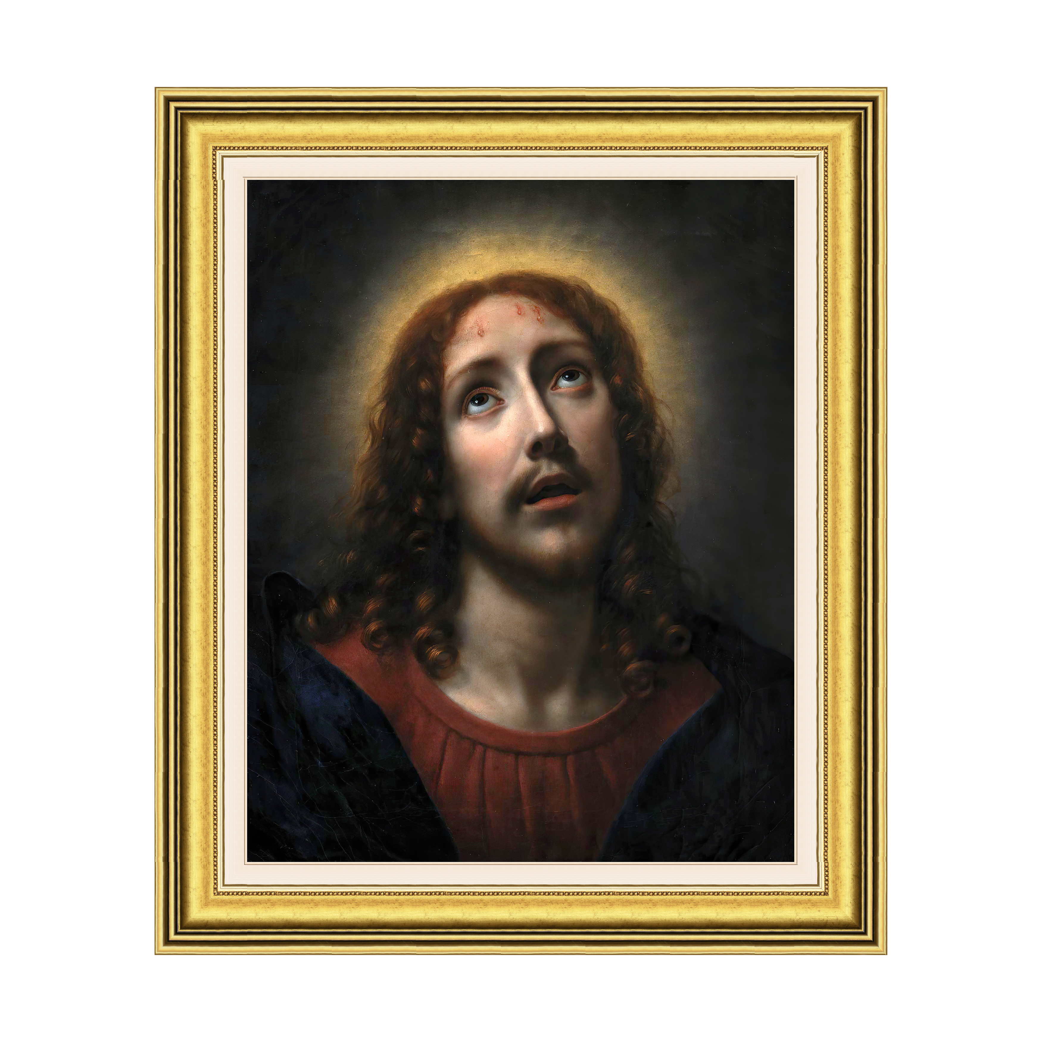 Dourada Lisa - Com Passe-Partout