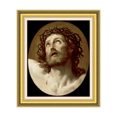Dourada Lisa - Com Passe-Partout