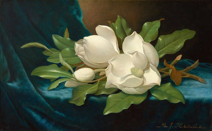 Magnólias gigantes em tecido de veludo azul - Martin Johnson Heade