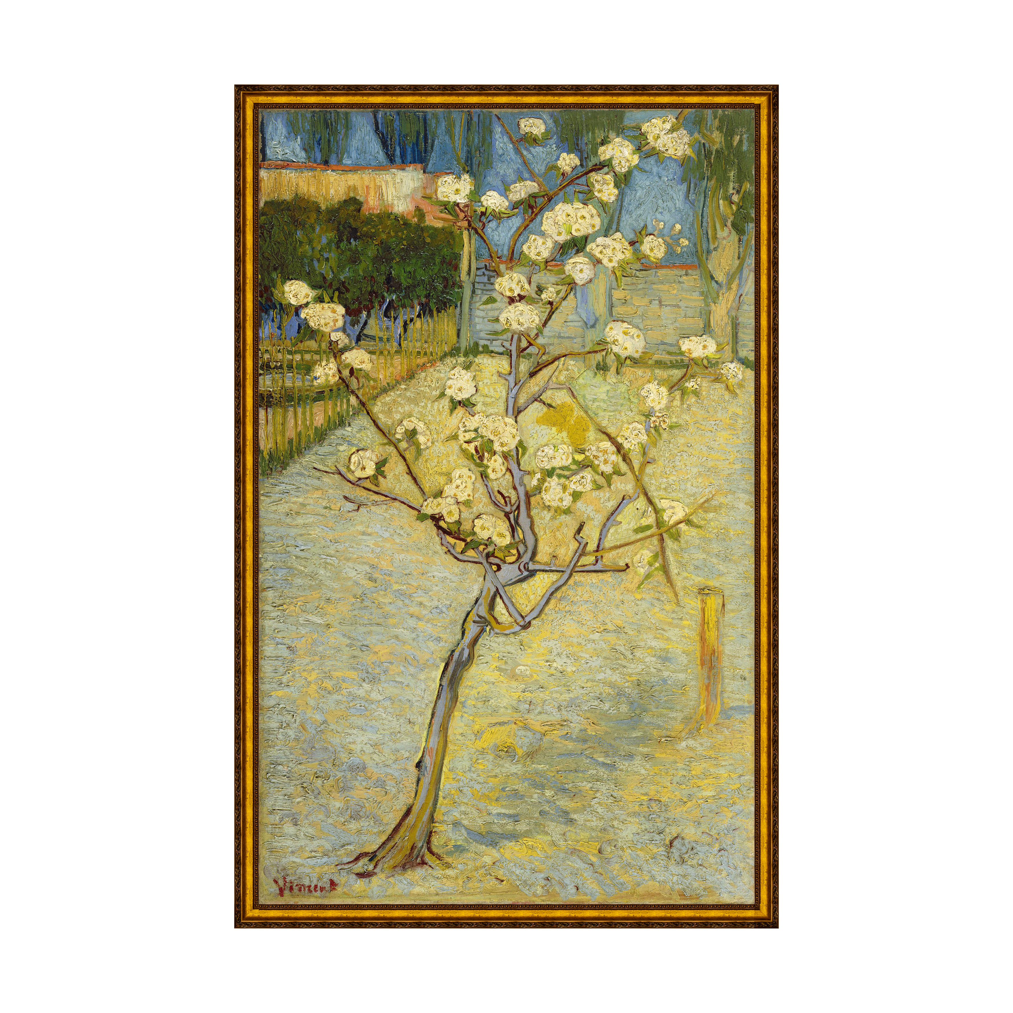 Provençal - Sem Passe-Partout