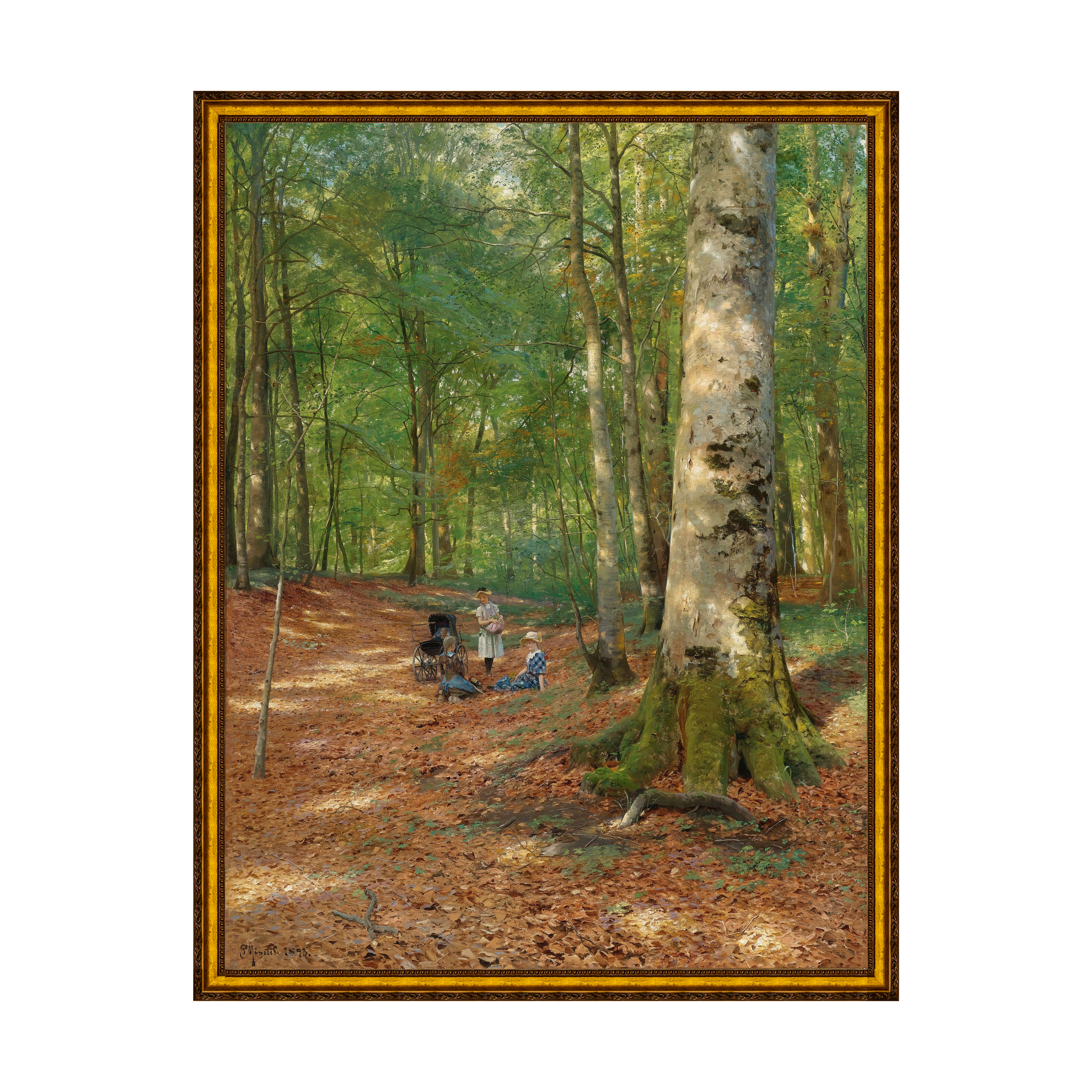 Provençal - Sem Passe-Partout