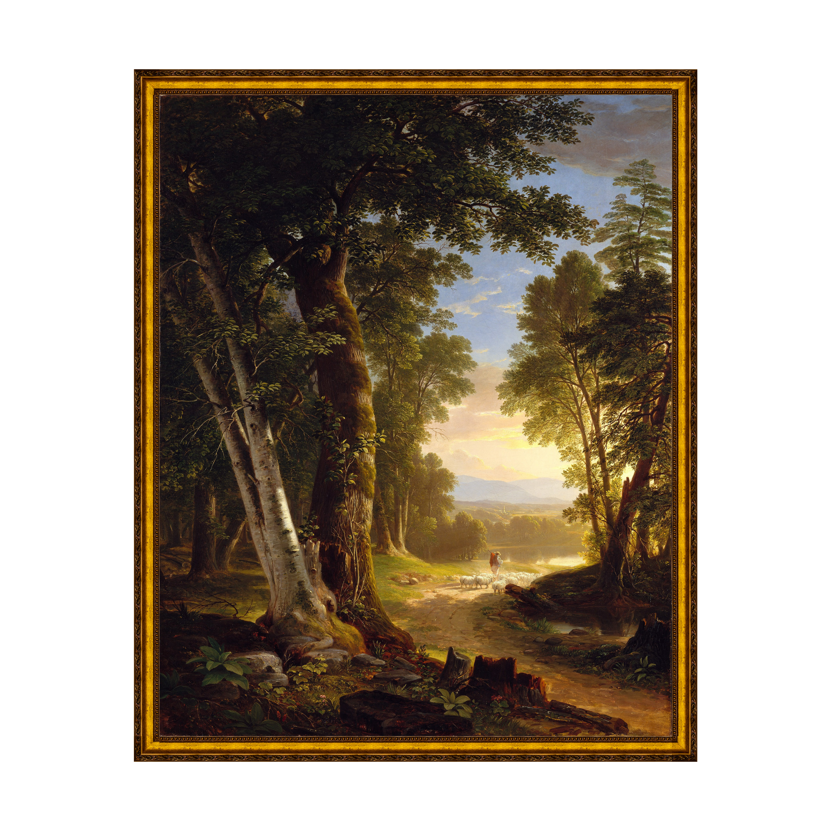 Provençal - Sem Passe-Partout