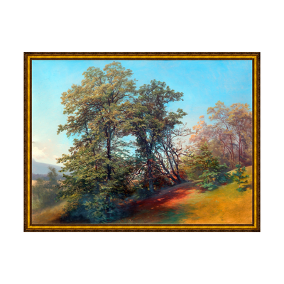 Provençal - Sem Passe-Partout
