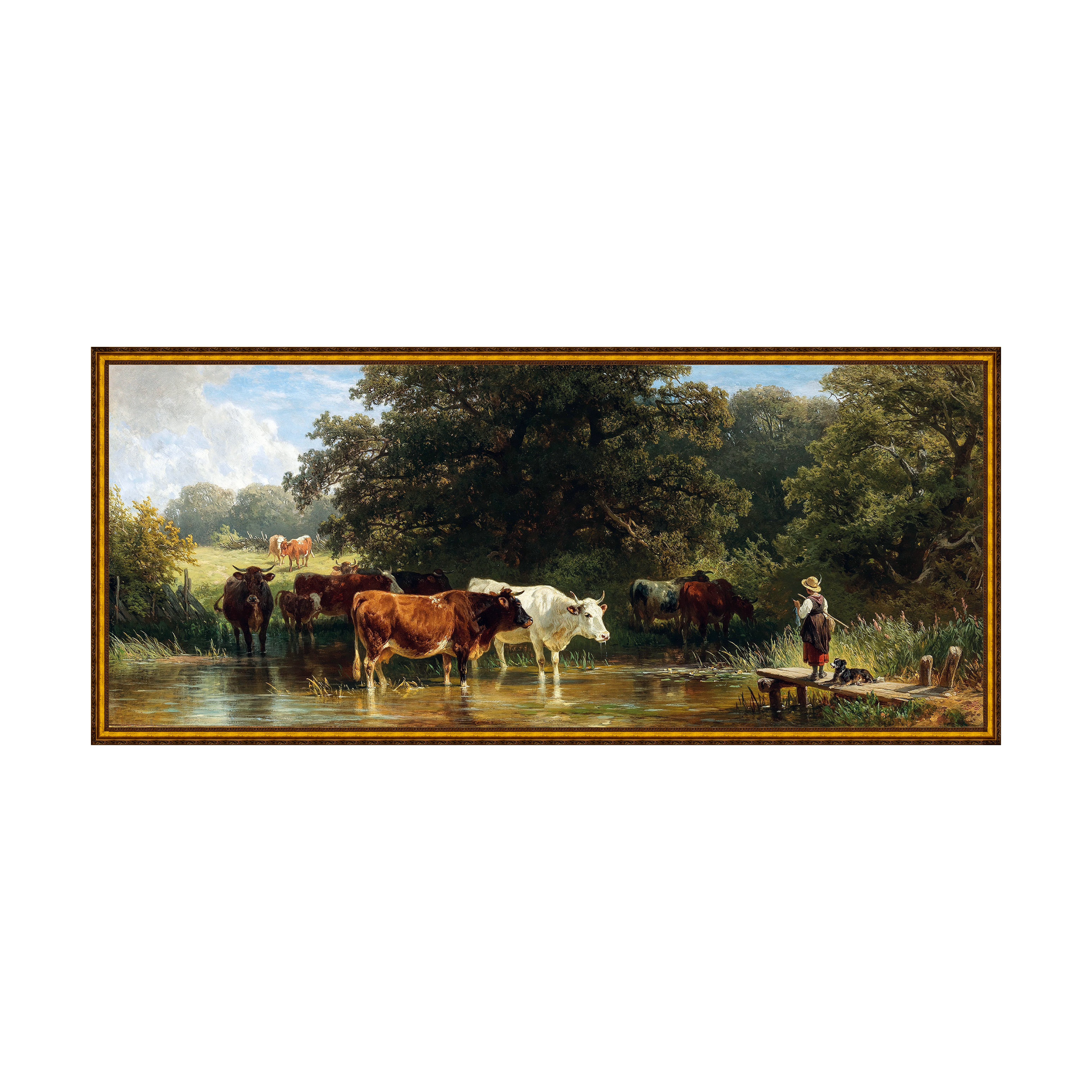 Provençal - Sem Passe-Partout