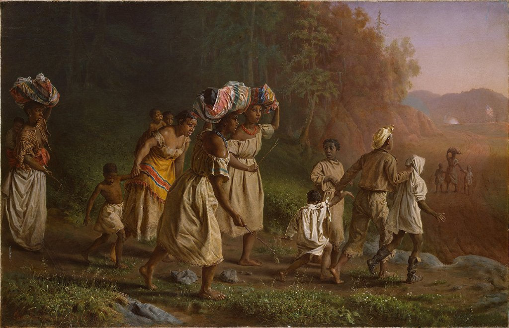 Rumo à Liberdade - Theodor Kaufmann