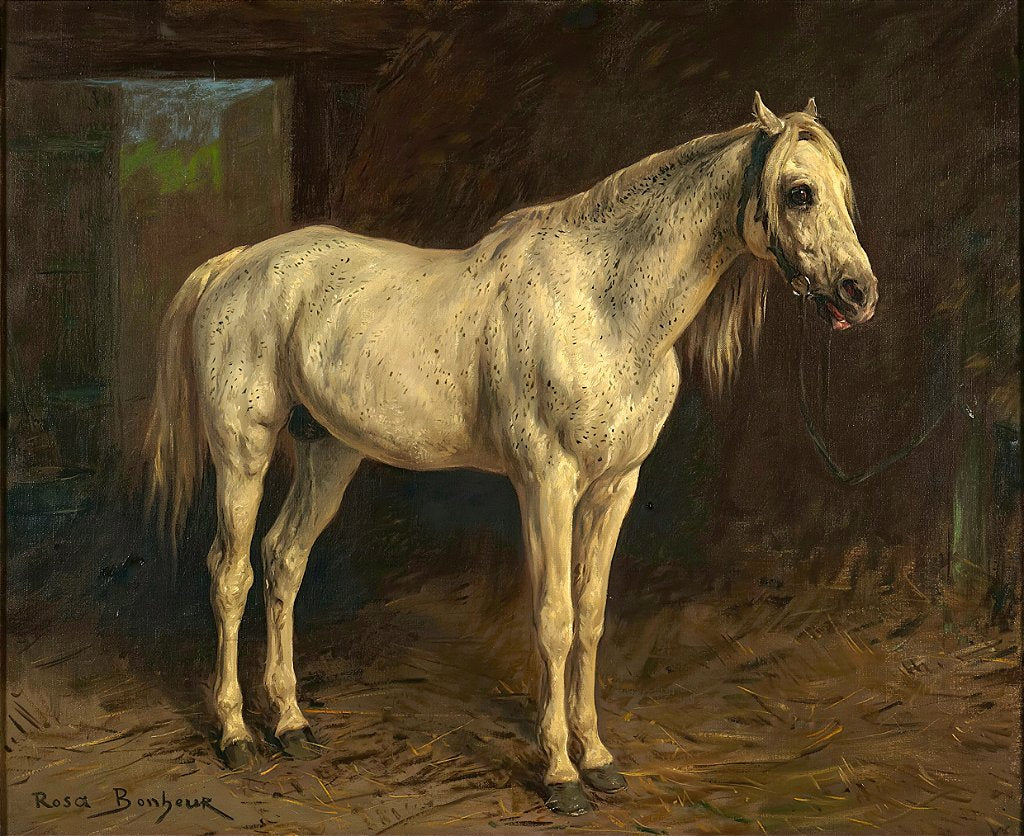 Cavalo Branco - Rosa Bonheur