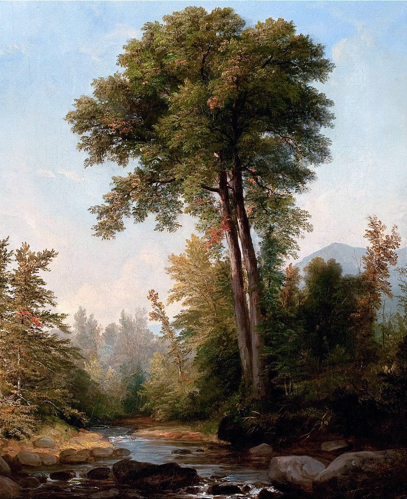 Um Monarca Natural (1853) - Asher Brown Durand