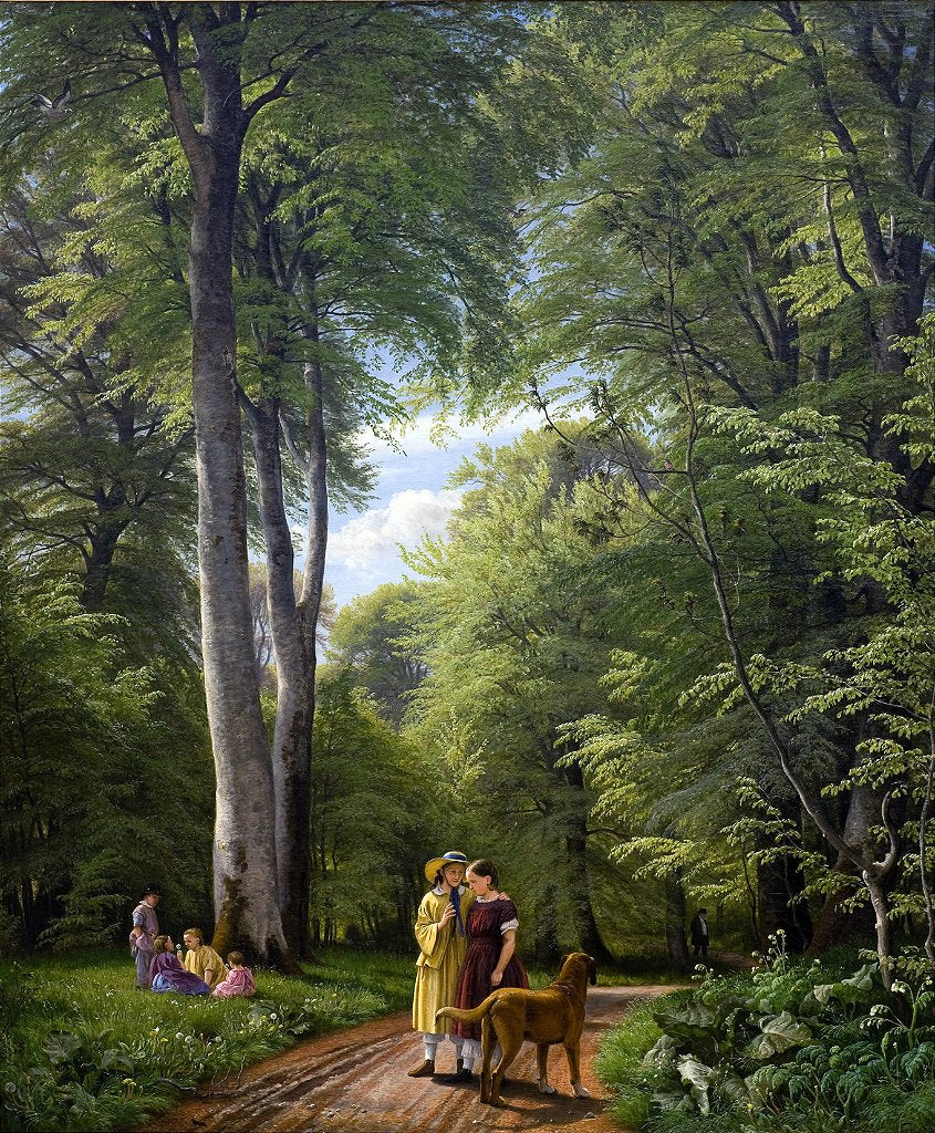 Um bosque de faias em maio perto de Iselingen Manor, Zelândia - PC Skovgaard